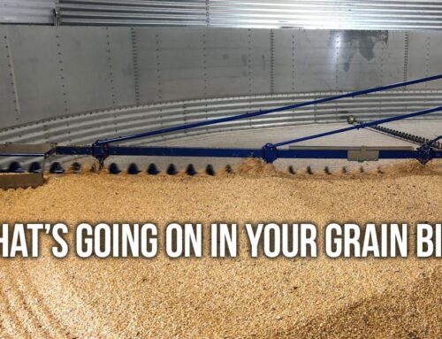 What’s going on in your grain bin?