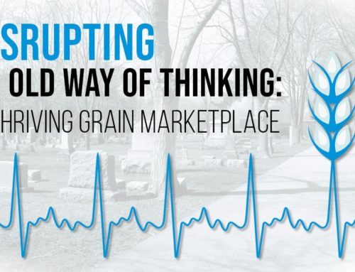 Disrupting an old way of thinking: A Thriving Grain Marketplace